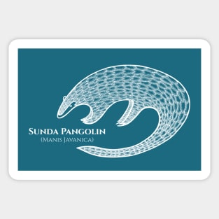 Pangolin with Common and Latin Names - dark blue and white animal design Sticker